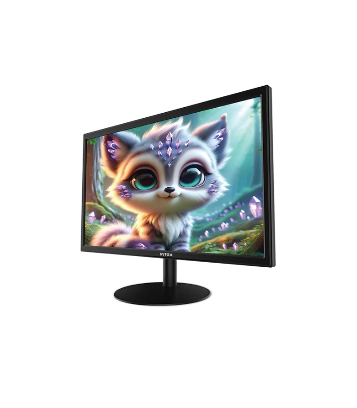 INTEX 19 Inch Frame Monitor